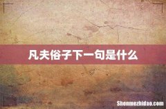 凡夫俗子下一句是什么
