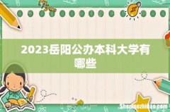 2023岳阳公办本科大学有哪些