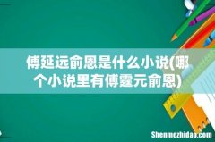 哪个小说里有傅霆元俞恩 傅延远俞恩是什么小说