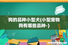 小型宠物狗有哪些品种- 狗的品种小型犬