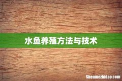 水鱼养殖方法与技术