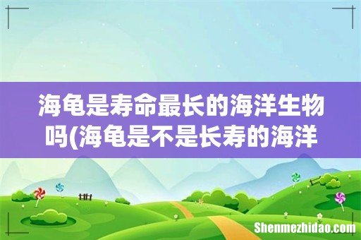 海龟是不是长寿的海洋生物 海龟是寿命最长的海洋生物吗