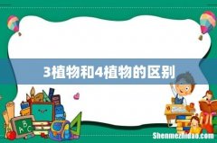 3植物和4植物的区别