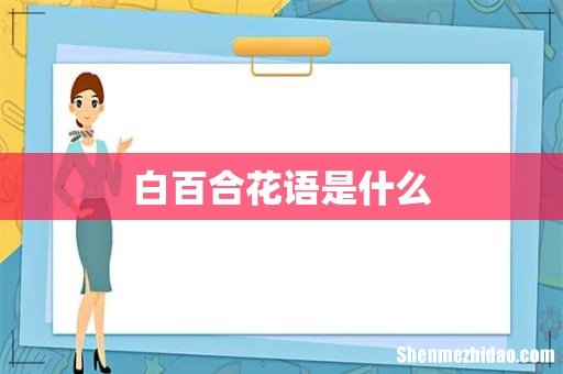 白百合花语是什么