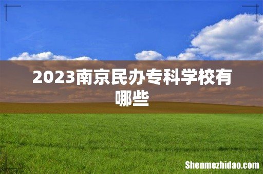 2023南京民办专科学校有哪些