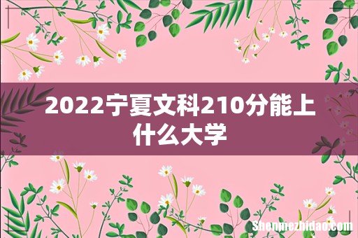 2022宁夏文科210分能上什么大学