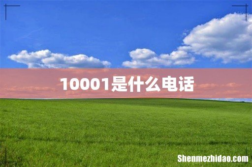 10001是什么电话