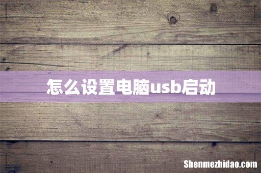 怎么设置电脑usb启动
