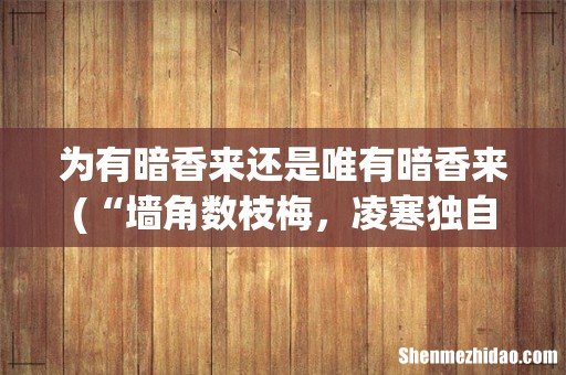 “墙角数枝梅，凌寒独自开。遥知不是雪，唯有暗香来”是意思是什么？ 为有暗香来还是唯有暗香来