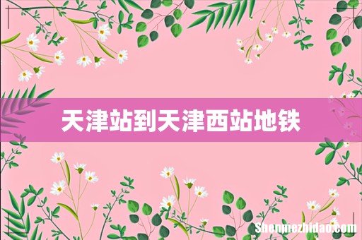天津站到天津西站地铁