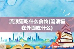 流浪猫在外面吃什么 流浪猫吃什么食物