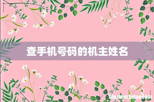 查手机号码的机主姓名