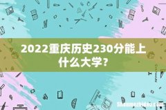 2022重庆历史230分能上什么大学？
