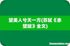 苏轼《赤壁赋》全文 望美人兮天一方