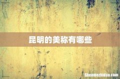 昆明的美称有哪些