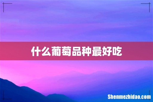 什么葡萄品种最好吃