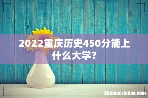 2022重庆历史450分能上什么大学?