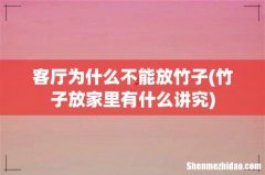 竹子放家里有什么讲究 客厅为什么不能放竹子