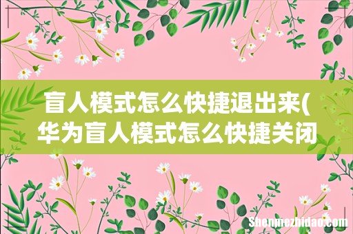 华为盲人模式怎么快捷关闭 盲人模式怎么快捷退出来