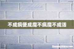 不成疯便成魔不疯魔不成活