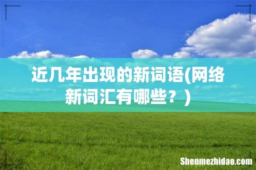 网络新词汇有哪些？ 近几年出现的新词语