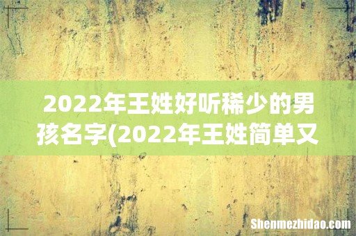 2022年王姓简单又好听的宝宝名字 虎年洋气的王姓孩子名字 2022年王姓好听稀少的男孩名字