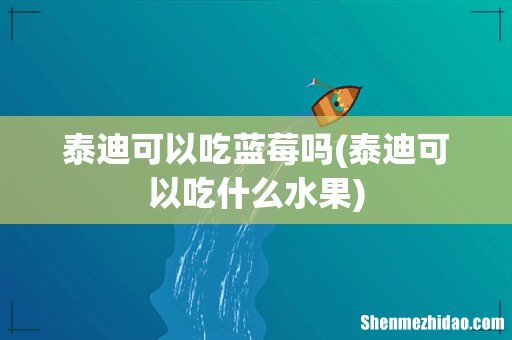 泰迪可以吃什么水果 泰迪可以吃蓝莓吗