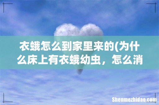 为什么床上有衣蛾幼虫，怎么消灭 衣蛾怎么到家里来的