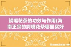 海南正宗的鳄嘴花茶哪里买好？ 鳄嘴花茶的功效与作用