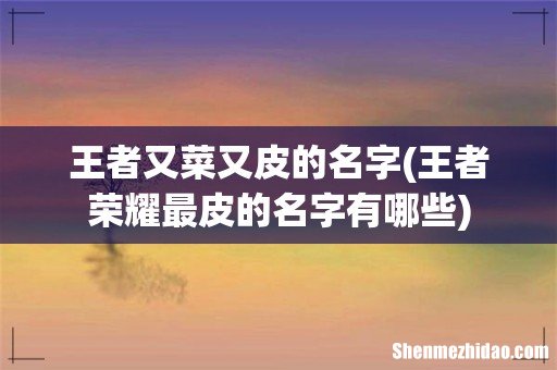 王者荣耀最皮的名字有哪些 王者又菜又皮的名字