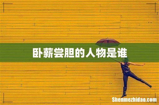 卧薪尝胆的人物是谁