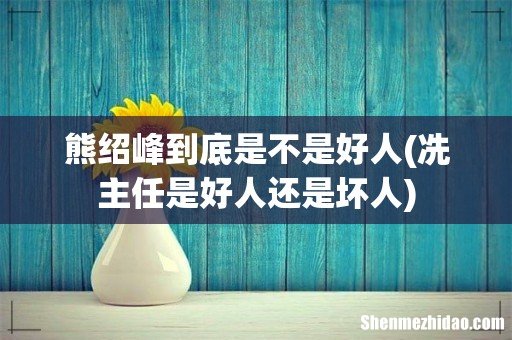 冼主任是好人还是坏人 熊绍峰到底是不是好人