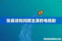 张嘉译和闫妮主演的电视剧