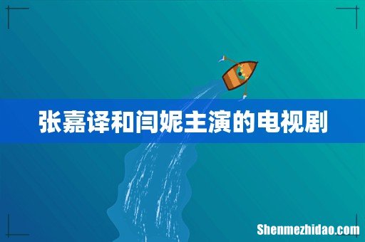 张嘉译和闫妮主演的电视剧