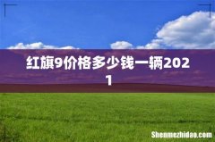 红旗9价格多少钱一辆2021