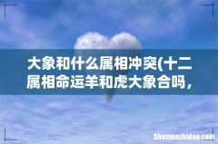 十二属相命运羊和虎大象合吗，属羊的和属虎命里相冲吗 大象和什么属相冲突