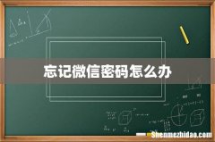 忘记微信密码怎么办