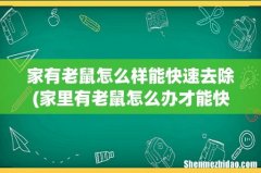 家里有老鼠怎么办才能快速驱赶 家有老鼠怎么样能快速去除