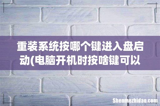 电脑开机时按啥键可以用u盘重装系统- 重装系统按哪个键进入盘启动