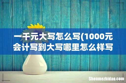 1000元会计写到大写哪里怎么样写 一千元大写怎么写