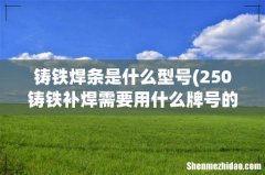 250铸铁补焊需要用什么牌号的铸铁焊条 铸铁焊条是什么型号