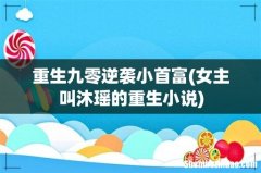 女主叫沐瑶的重生小说 重生九零逆袭小首富