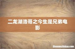 二龙湖浩哥之今生是兄弟电影