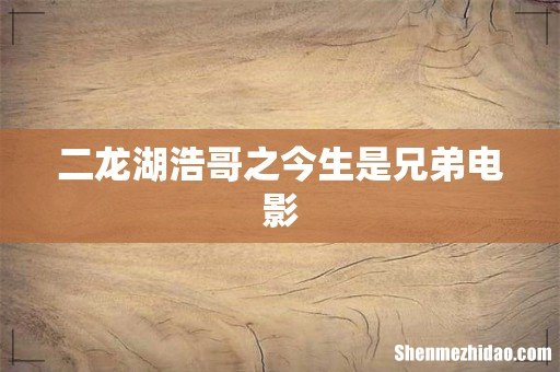 二龙湖浩哥之今生是兄弟电影