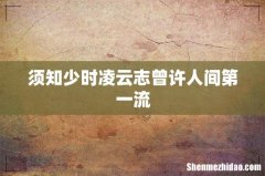 须知少时凌云志曾许人间第一流