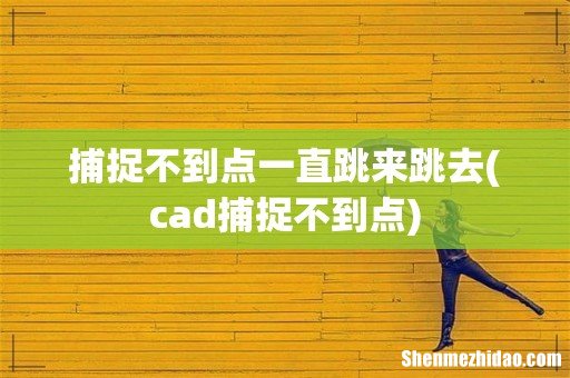 cad捕捉不到点 捕捉不到点一直跳来跳去