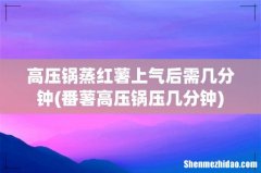 番薯高压锅压几分钟 高压锅蒸红薯上气后需几分钟