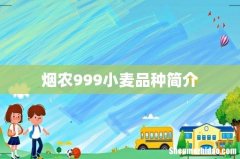 烟农999小麦品种简介