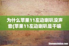 苹果11左边喇叭是干嘛的 为什么苹果11左边喇叭没声音