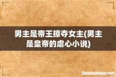 男主是皇帝的虐心小说 男主是帝王掠夺女主